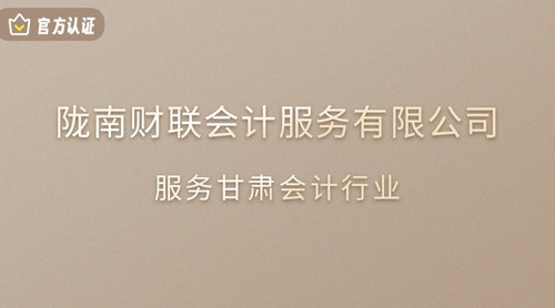 陇南财联会计服务有限公司.jpg