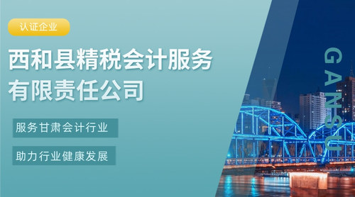 西和县精税会计服务有限责任公司.jpg