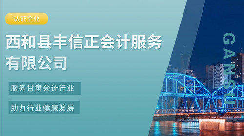 西和县丰信正会计服务有限公司.jpg